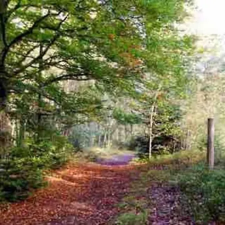 Hyggeligt Taet Ved Skov Og Togstation Вилла *