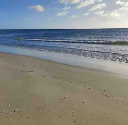 Hyggeligt Taet Ved Skov Og Togstation