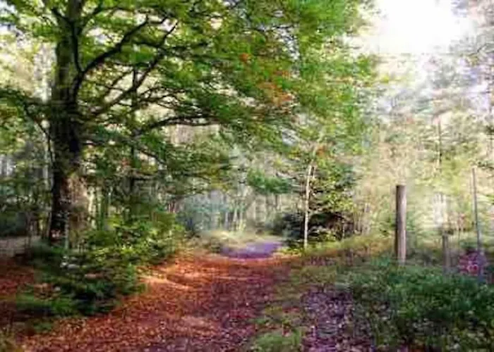 Hyggeligt Taet Ved Skov Og Togstation 빌라 *